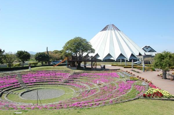 🦢 이즈미시 학 박물관 크레인파크 이즈미 (이즈미시 츠루 하쿠부츠칸 크레인파크 이즈미) 이미지 6